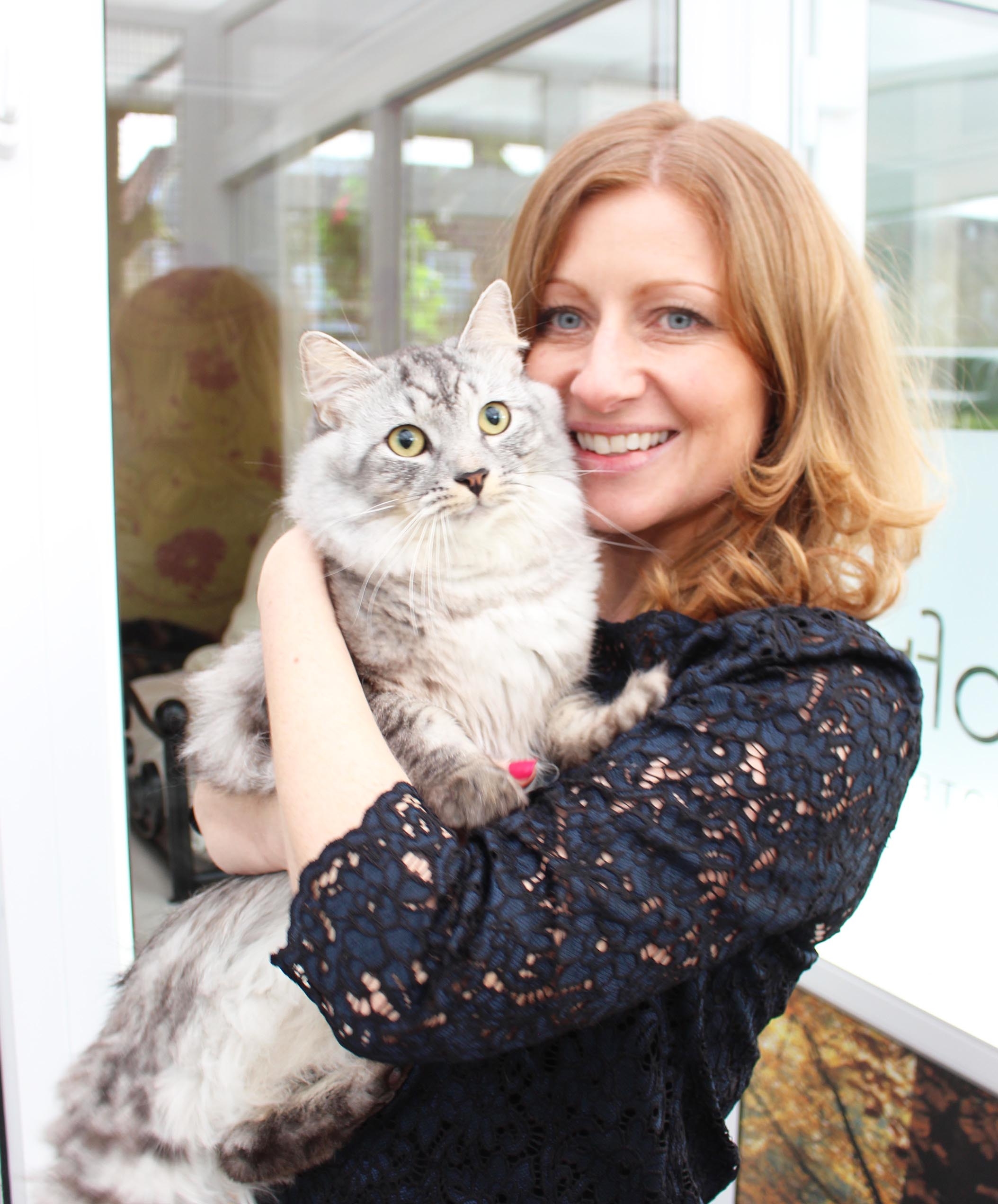 Multi Award Winning Boutique Luxury Cat Hotel Opening In Letchworth